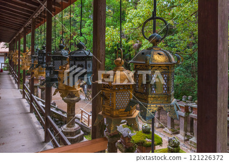 春日大社 - 聯合國教科文組織世界遺產，擁有 2000 多個石燈籠和 1000 個懸掛燈籠，蔚為壯觀 121226372