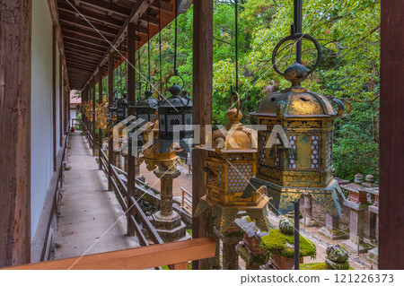 Kasuga Taisha Shrine - A UNESCO World Heritage Site, with a spectacular view of over 2,000 stone lanterns and 1,000 hanging lanterns 121226373