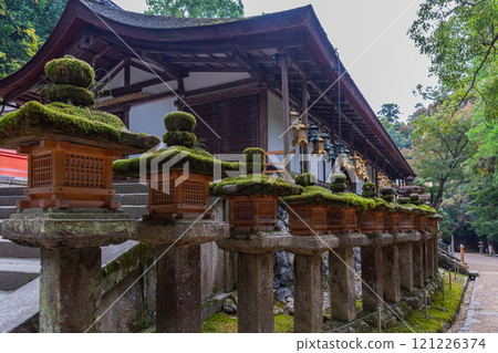 Kasuga Taisha Shrine - A UNESCO World Heritage Site, with a spectacular view of over 2,000 stone lanterns and 1,000 hanging lanterns Kasuga Taisha Shrine - A UNESCO World Heritage Site, with a spectacular view of over 2,000 stone lanterns and 1,000 hanging lanterns 121226374