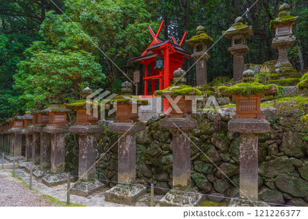 Kasuga Taisha Shrine - A UNESCO World Heritage Site, with a spectacular view of over 2,000 stone lanterns and 1,000 hanging lanterns 121226377