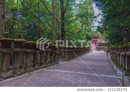春日大社 - 聯合國教科文組織世界遺產，擁有 2000 多個石燈籠和 1000 個懸掛燈籠，蔚為壯觀 121226379