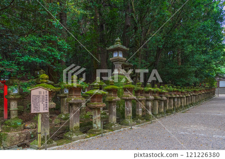 Kasuga Taisha Shrine - A UNESCO World Heritage Site, with a spectacular view of over 2,000 stone lanterns and 1,000 hanging lanterns 121226380