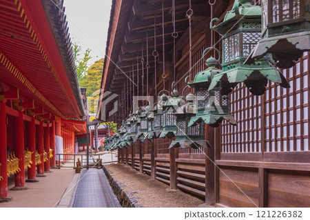 Kasuga Taisha Shrine - A UNESCO World Heritage Site, with a spectacular view of over 2,000 stone lanterns and 1,000 hanging lanterns Kasuga Taisha Shrine - A UNESCO World Heritage Site, with a spectacular view of over 2,000 stone lanterns and 1,000 hanging lanterns 121226382