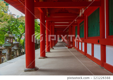 春日大社 - 聯合國教科文組織世界遺產,擁有 2000 多個石燈籠和 1000 個懸掛燈籠,蔚為壯觀 春日大社 - 聯合國教科文組織世界遺產,擁有 2000 多個石燈籠和 1000 個懸掛燈籠,蔚為壯觀 121226388