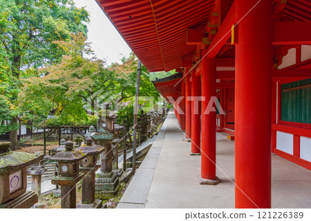 Kasuga Taisha Shrine - A UNESCO World Heritage Site, with a spectacular view of over 2,000 stone lanterns and 1,000 hanging lanterns Kasuga Taisha Shrine - A UNESCO World Heritage Site, with a spectacular view of over 2,000 stone lanterns and 1,000 hanging lanterns 121226389