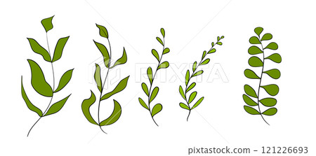 Floral set hand drawn color leaves. Cute isolated elements. Clip art for stationery, web design. Modern floral compositions. Vector illustration Floral set hand drawn color leaves. Cute isolated elements. Clip art for stationery, web design. Modern floral compositions. Vector illustration 121226693