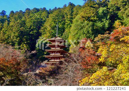秋天的長谷寺、五層寶塔和遠景（奈良縣櫻井市） 121227241
