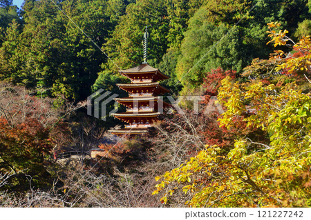 秋天的長谷寺、五層寶塔和遠景（奈良縣櫻井市） 121227242
