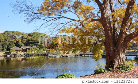 秋葉灘立宮花園 121227255