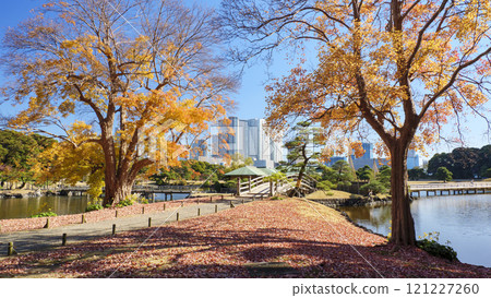 Hamarikyu Gardens of Autumn Leaves Hamarikyu Gardens of Autumn Leaves 121227260