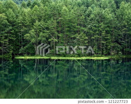 神秘的綠色米沙卡池 神秘的綠色米沙卡池 121227723