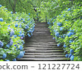 明月院階梯上盛開的繡球花 121227724