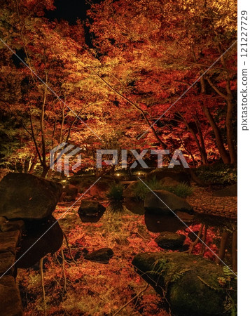 Illuminated garden and reflection of autumn leaves Illuminated garden and reflection of autumn leaves 121227729