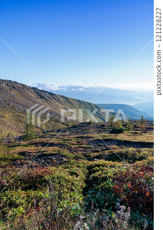 草津白根山南麓丘陵的秋景 121228227