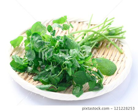 Watercress (spicy, popular as a side dish for meat dishes) 121228253