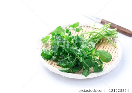 Watercress (spicy, popular as a side dish for meat dishes) 121228254