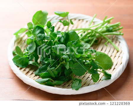 架子上的新鮮西洋菜(味道辛辣,作為肉類菜餚的配菜很受歡迎) 架子上的新鮮西洋菜(味道辛辣,作為肉類菜餚的配菜很受歡迎) 121228369