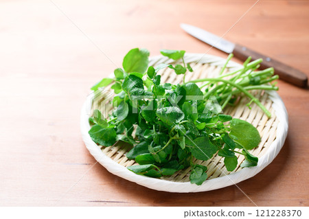 架子上的新鮮西洋菜（味道辛辣，作為肉類菜餚的配菜很受歡迎） 121228370