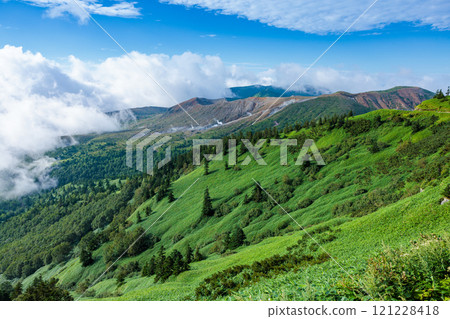夏季草津白根山的壯麗景色 121228418