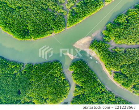 Amazing abundant mangrove forest,Aerial view of forest trees Rainforest ecosystem and healthy environment background,Texture of green trees forest background Amazing abundant mangrove forest,Aerial view of forest trees Rainforest ecosystem and healthy environment background,Texture of green trees forest background 121228665