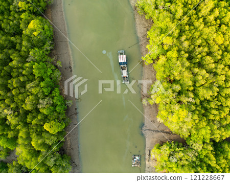Amazing abundant mangrove forest,Aerial view of forest trees Rainforest ecosystem and healthy environment background,Texture of green trees forest background Amazing abundant mangrove forest,Aerial view of forest trees Rainforest ecosystem and healthy environment background,Texture of green trees forest background 121228667