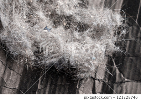 Close-up view of tangled dust ball with fine hairs and particles collected from a vacuum cleaner on crumpled dark surface 121228746