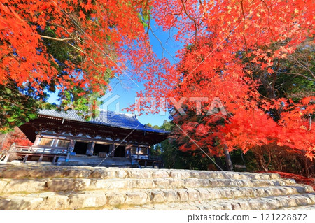 [京都府] 高尾山神護寺（近藤）參道上的紅葉 121228872
