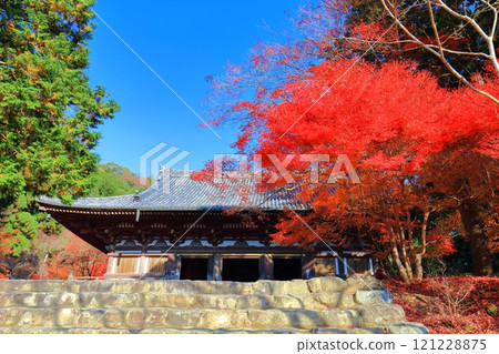 [Kyoto Prefecture] Autumn leaves on the approach to Jingoji Temple, Mount Takao (Kondo) 121228875