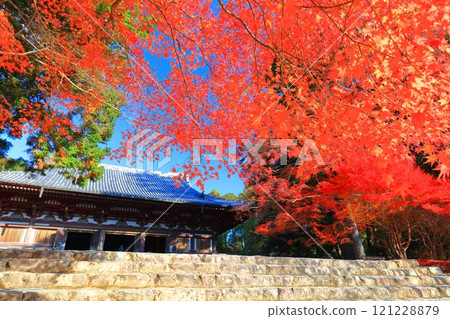 [京都府] 高尾山神護寺（近藤）參道上的紅葉 121228879
