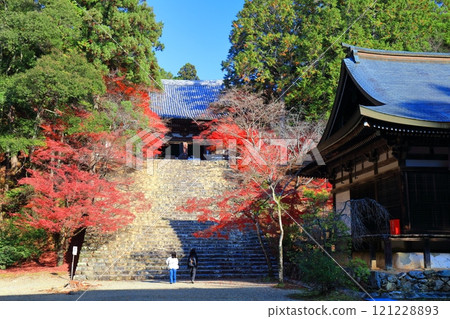 [Kyoto Prefecture] Autumn leaves on the approach to Jingoji Temple, Mount Takao (Kondo) 121228893