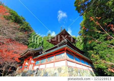 [京都府] 高尾山神護寺（多寶塔）參道上的紅葉 121228913