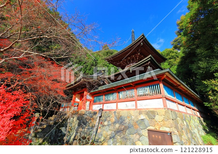 [京都府] 高尾山神護寺（多寶塔）參道上的紅葉 121228915