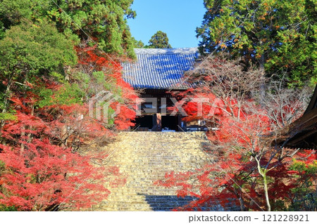[京都府] 高尾山神護寺（近藤）參道上的紅葉 121228921