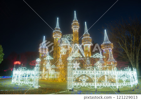 Shibukawa Illumination in Gunma 121229013