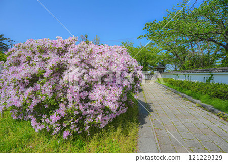 Honjo Park 121229329