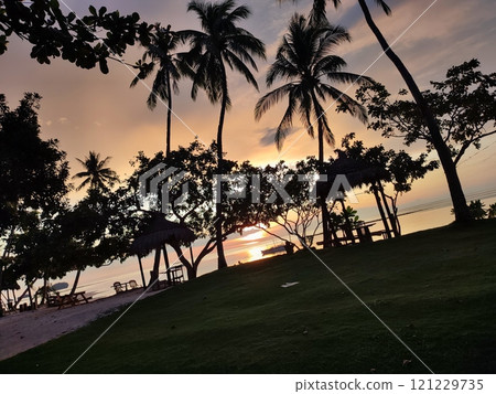 Scenery with palm tree Scenery with palm tree 121229735