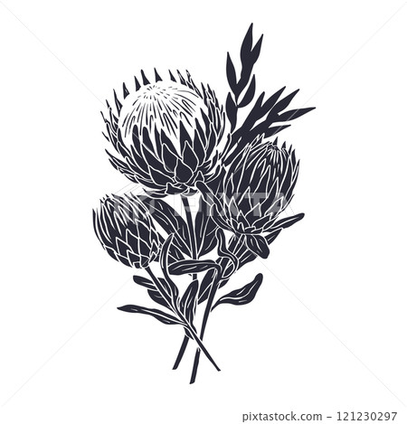 Black silhouette of tropical protea flowers and leaves bouquet Black silhouette of tropical protea flowers and leaves bouquet 121230297