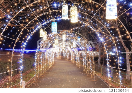[Kagawa Prefecture] Winter National Sanuki Mannou Park (Illumination) 121230464