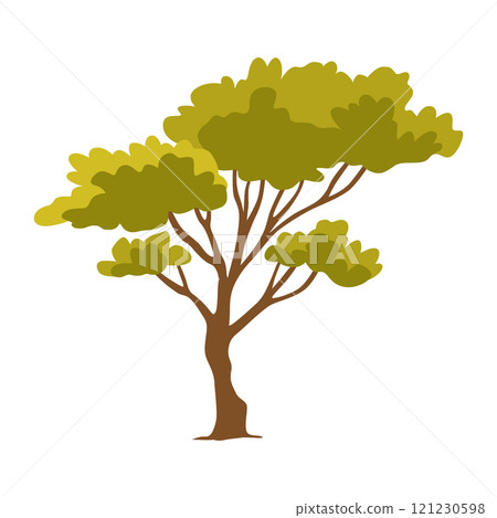 Tree. Eco concept of nature plant. Garden botanical element. Vector flat green tree icon isolated on white background Tree. Eco concept of nature plant. Garden botanical element. Vector flat green tree icon isolated on white background 121230598