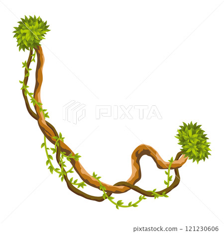 Liana branch. Twisted wild jungle vine plants. Woody natural tropical rainforest, exotic botany element. Vector design element Liana branch. Twisted wild jungle vine plants. Woody natural tropical rainforest, exotic botany element. Vector design element 121230606
