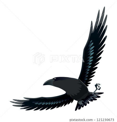 Raven. Silhouette Representing Bird Specie Captured in Moment of Flight and Resting Raven. Silhouette Representing Bird Specie Captured in Moment of Flight and Resting 121230673
