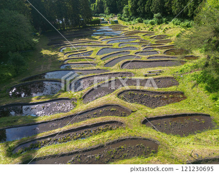 金山梯田 121230695