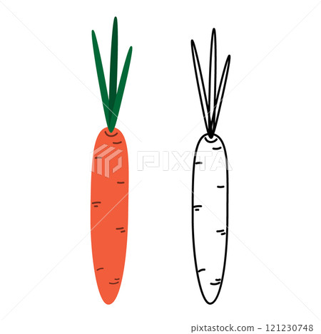Colorful and outline hand drawn carrots in doodle style. Healthy Eating design element concept Set 2 121230748