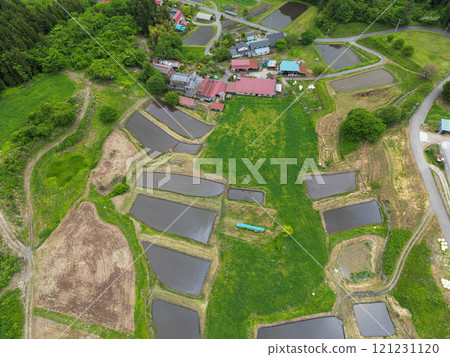 山吹梯田 121231120