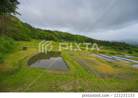 Yamabuki rice terraces 121231133