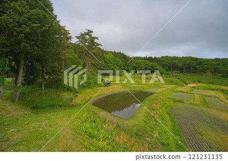 Yamabuki rice terraces 121231135