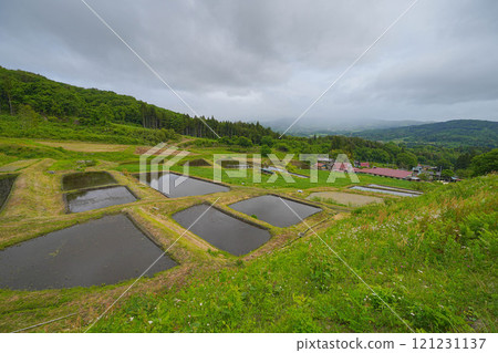 山吹梯田 121231137