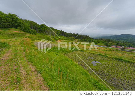 山吹梯田 山吹梯田 121231143