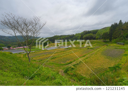 山吹梯田 山吹梯田 121231145