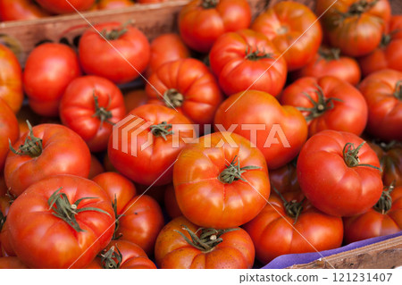 Lots of tomatoes on a branch on counter 121231407